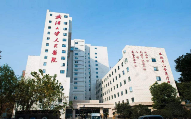 武汉大学人民医院医疗整