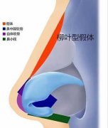 硅胶隆鼻假体哪一种好?硅胶假体的选择技巧