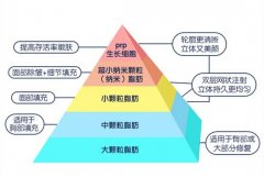 自体脂肪隆鼻有哪些优缺点?是利大于弊还是弊大于利?