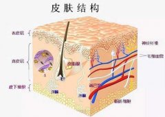 千万不要自体真皮隆鼻？自体真皮隆鼻靠谱吗？