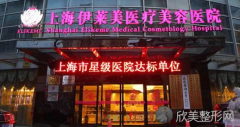 上海伊莱美成立于哪一年?上海伊莱美的院长是谁?怎么样？医生团队-口碑-地址