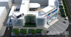 葛红梅