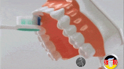 为什么每天都有刷牙，牙齿却还是不好？