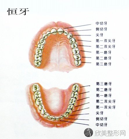 保护牙齿很重要！