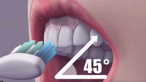 牙疼、牙龈出血、牙周炎？教你5招预防牙病！