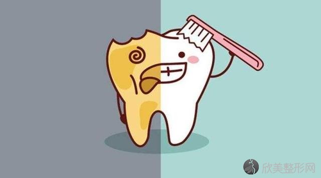 牙齿太黄不敢“笑”？想给牙齿做美白，哪种方法较经济实用？