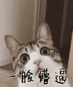 医生，我只是下牙不齐，能不能只矫正下排牙？