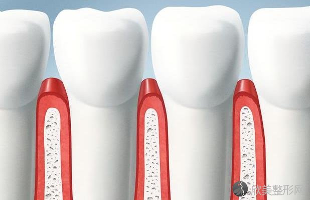 牙齿的日常护理很关键！
