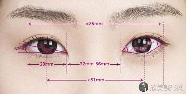 西安美莱双眼皮手术选韩式三点还是全切