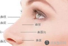 鼻综合手术多少钱