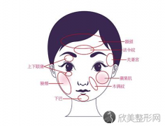 郑州做鼻唇沟填充大约需要多少钱