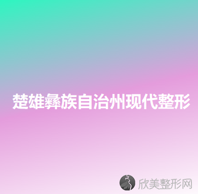 楚雄哪家医院做V脸整形手术好？排名前四权威医美口碑盘点-含手术价格查询！