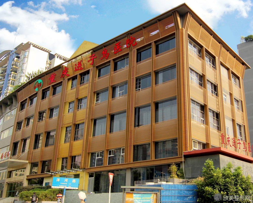 重庆送子鸟医院