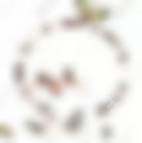 作为德国进口的全瓷牙品牌，你知道易美全瓷牙多少钱吗？