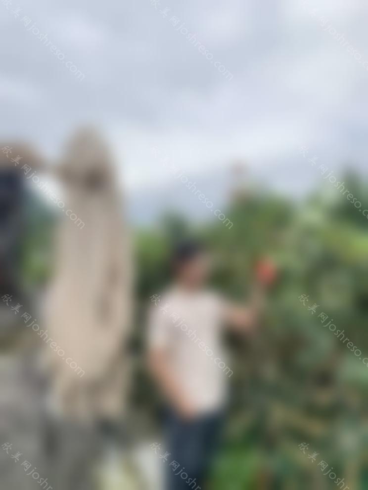 2024全新上海第九院植发价格表来喽~
