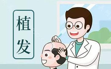 植发前为什么要验血检查身体