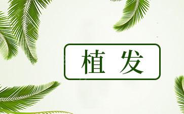 发胶怎么用 发蜡和发胶有什么区别