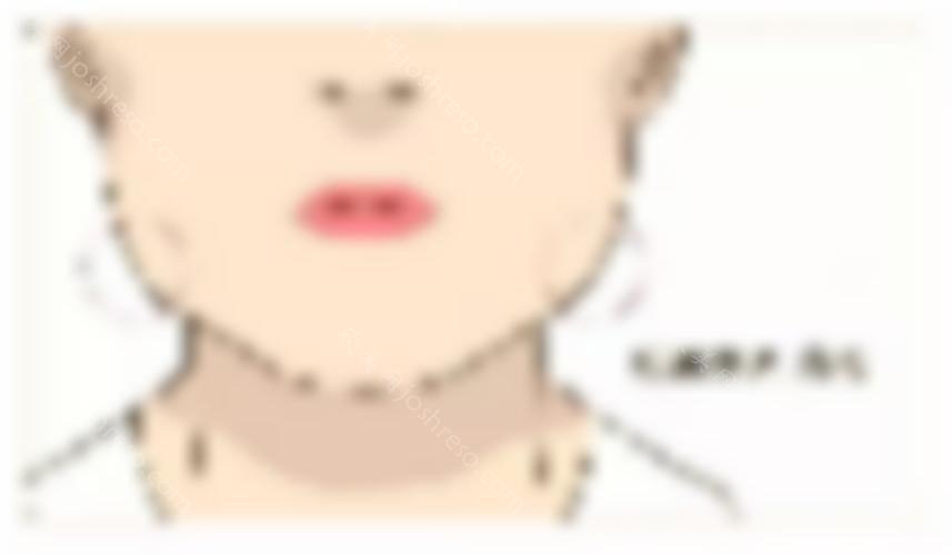 菲儿