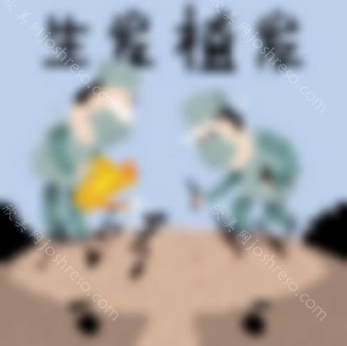 在广州倍生植发医院找杨晓做发际线种植手术后120天