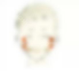 春丽
