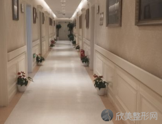 南京柏盛整形是不是正规医院?医生/案例/价格揭晓！
