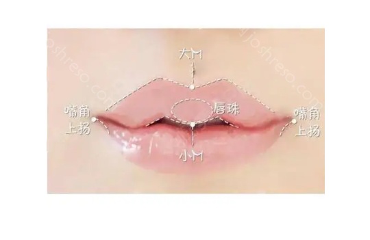 佛山华美整形医院做唇部整形好吗?院内医生信息|擅长项目一览!