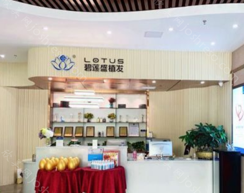 杭州碧莲盛植发怎么样?植发团队+植发技术优势!