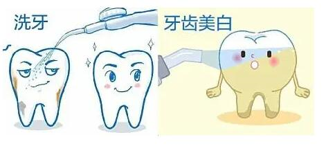 2024年PEEK材料在口腔修复领域的应用与价格分析
