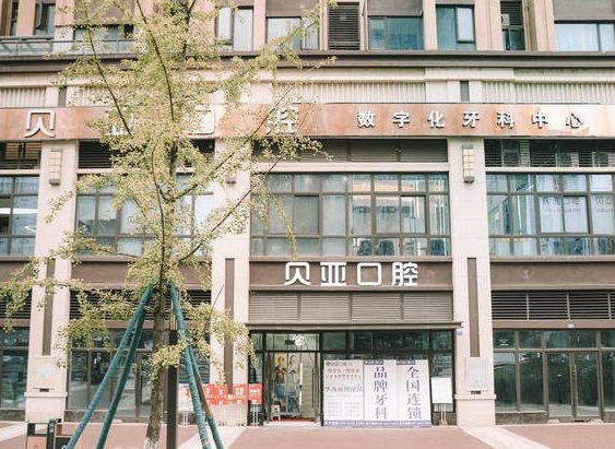 2024年QS全球大学牙科专业哪家好：较好学府引领口腔医学新趋势
