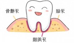 甘肃平凉市民口腔健康新指南：2024年优质牙科诊所深度解析