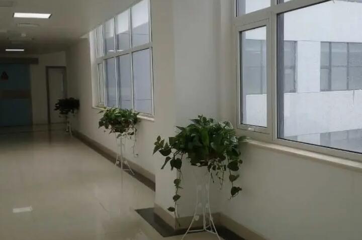 黔西南布依族苗族自治州广东安齿种植牙医生排行前五强技术亮眼-黔西南布依