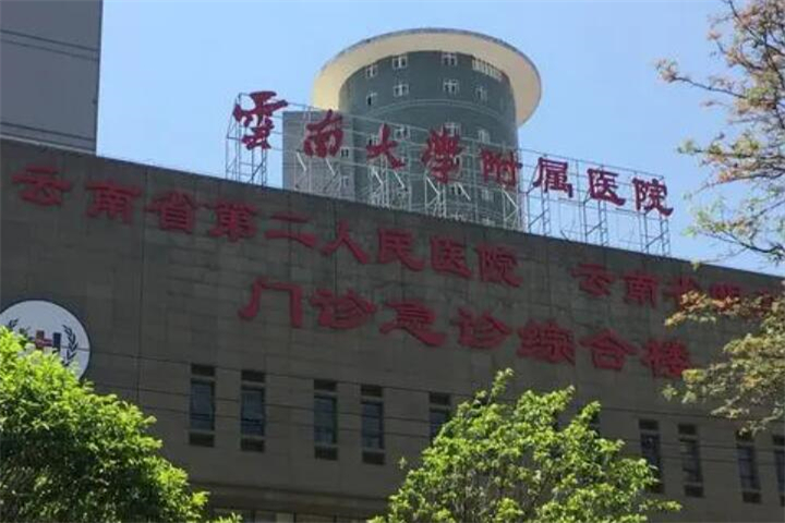 云南大学附属医院胶原蛋白丰唇珠手术价格表表，整形美容科收费标准揭秘