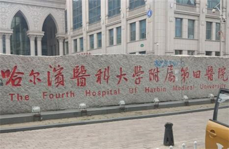双桥医院有口腔科吗？哪个院区提供相关服务？