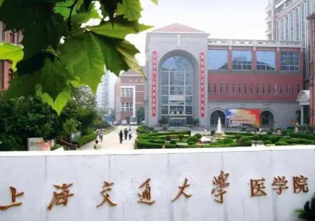 上海雅悦齿科收费标准全解析：种植牙-正畸-牙冠修复费用透明公开