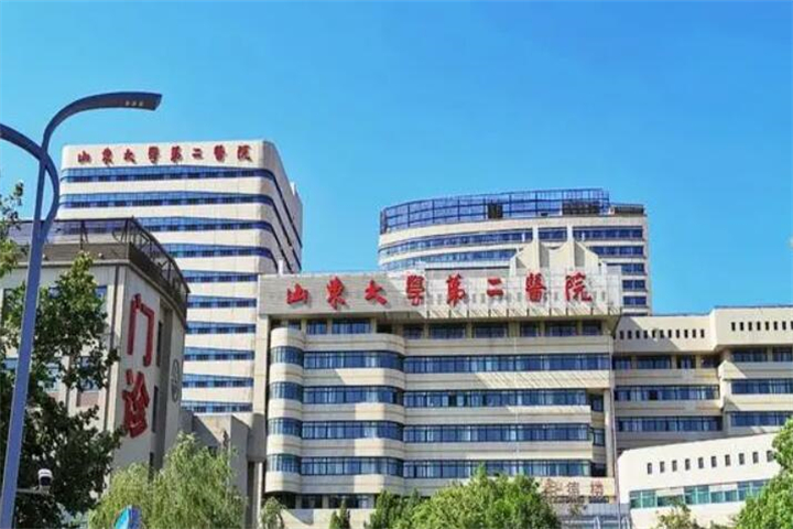 山东大学第二医院整牙服务价格一览表：了解各项费用，选择合适的治疗方案