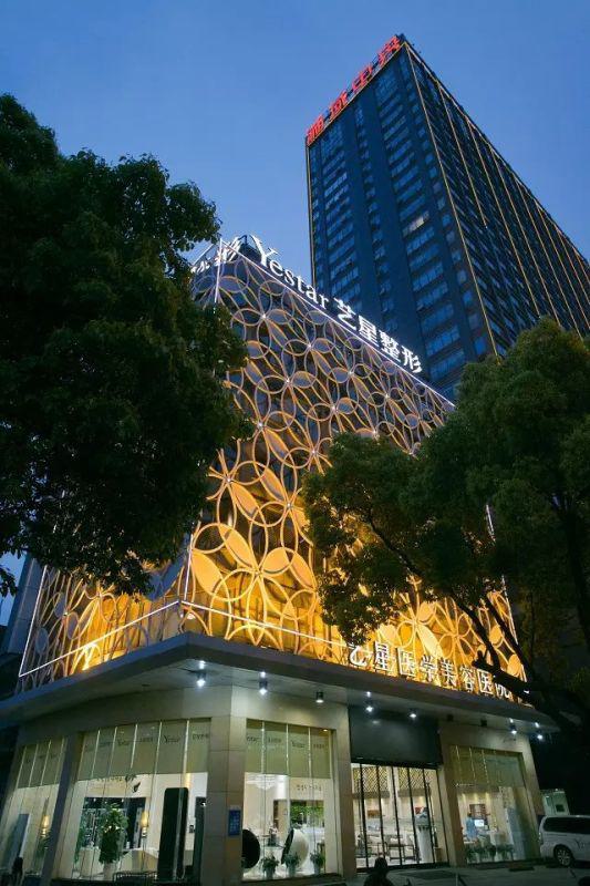 长沙艺星医学美容医院整形项目价格表，价格表深度解析，靠谱与否一看便知！