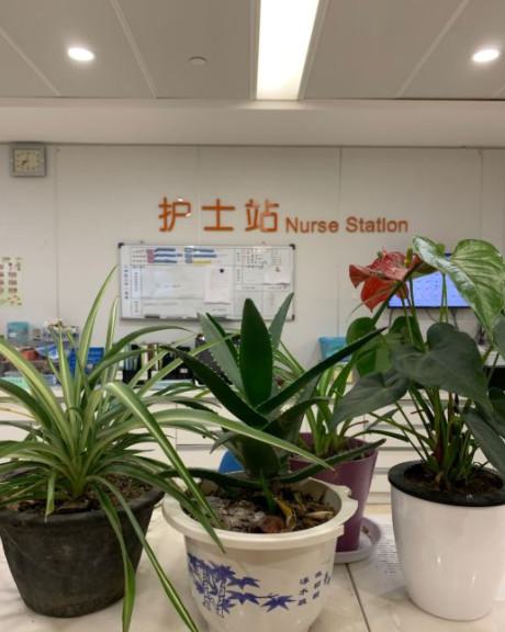 苏州市立医院北区抽脂价格表，价格大约13000元起，详细了解抽脂手术费用