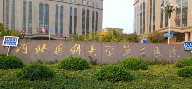 河北医科大学第二医院隆胸手术价格表，价格表及案例评价大揭秘