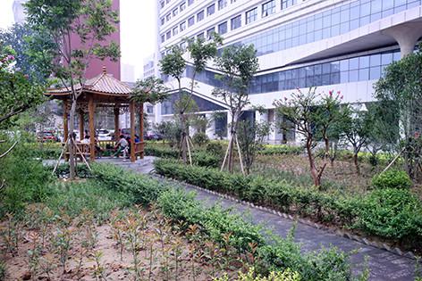 寻找郑州牙科医院：推荐排名前十的医院，种植牙和正畸服务哪家好？