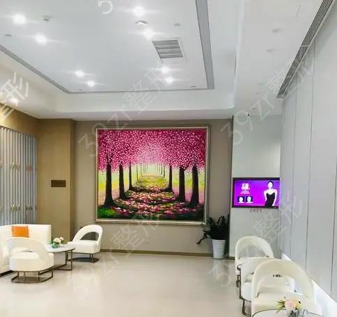 成都西区医院整形科隆鼻手术价格表，专家实力与价格表解析