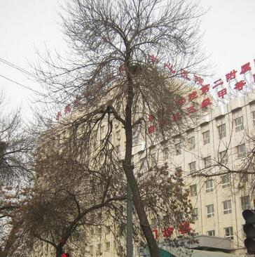 承德牙齿种植哪家医院好？排名前五的公立医院推荐，看看哪个医院更适合你！