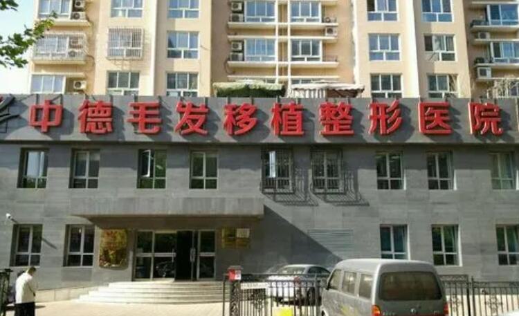 北京中德植发价格，端午有植发活动吗？