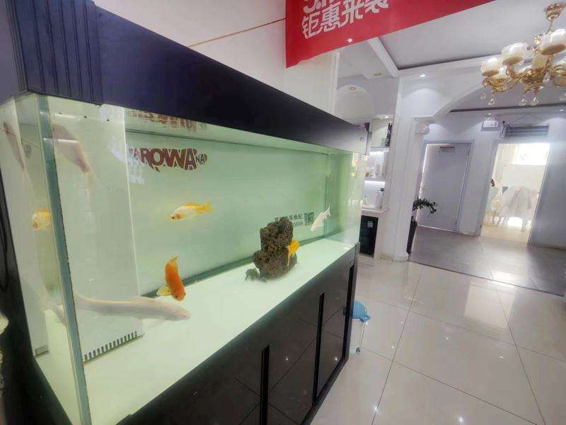 呼和浩特皮肤美容收费价格表，治疗痤疮：541\去黄褐斑：3422起