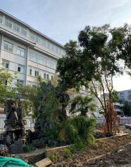 苏州脂肪填充修复价格表线上公布(2025苏州脂肪填充修复参考价