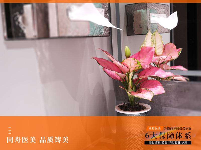 无锡做鼻子比较好的医院top五:同舟、桃花源、江阴市人民医院等五家综合实力