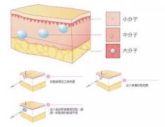 玻尿酸丰唇效果如何？费用多少？