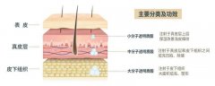 玻尿酸注射：价格与效果全解析