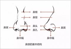 歪鼻矫正手术怎么样？多少钱？效果好不好？