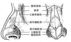 北京清木医疗美容诊所假体隆鼻效果及价格详解