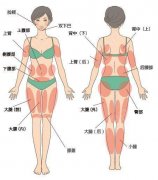 腰部吸脂效果如何？手术费用解析